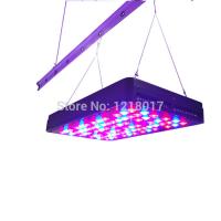 China www.shcidly.com full spectrum Led Grow Lights 5w chip LED Grow Light/Grow Tent for sale