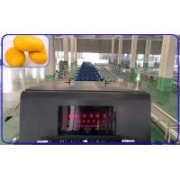 China Detect Sugar Mechanical Fruit Sorting Machine Intelligent 2 Channel Mango Sorter factory