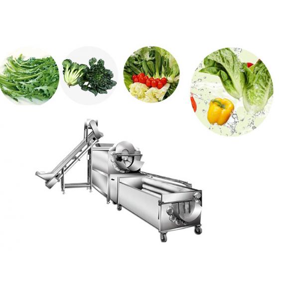 Quality Auto Salad Production Line Washing Cleaning Frozen Vegetable Bubble Washer for sale
