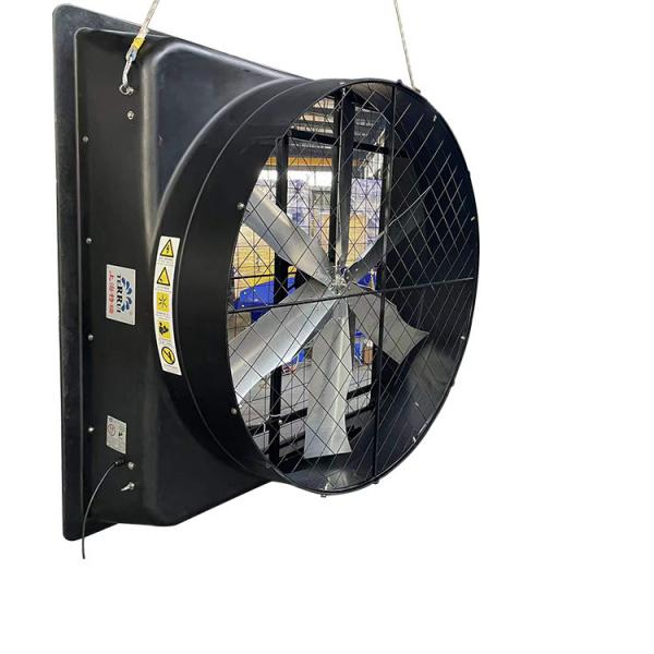 Quality 72 Inch Straight Outlet Bulk Negative Pressure Fan Without Blower Poultry Ventilation Fans for sale
