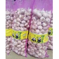 China Fresh Onion Garlic Packaging Net Bags For Fruit & Vegetable factory