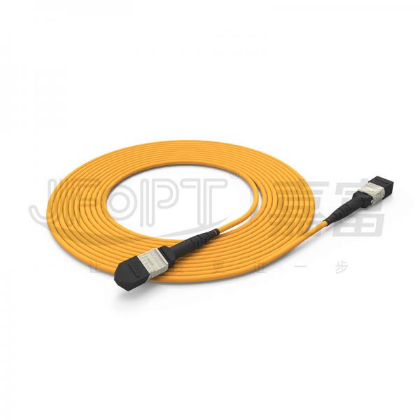 Quality 3.0mm MPO Trunk Cable 24 Core Backbone Cable OFNR OFNP Flame Retardant 2x12 for sale