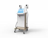 China -15~5 ℃ adjustable Vertical Cryolipolysis Fat Freeze Slimming Machine with CE Certification factory