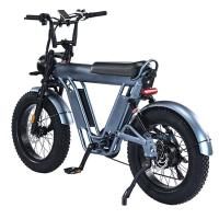 China 20 Wheel Size Folding Fat Tire Electric Bike Frame for Exercise Balance and Exercise factory