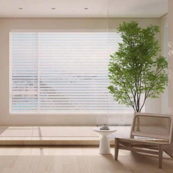 Quality Convenient Cordless Venetian Window Blinds With Dry Cloth Cleaning for sale