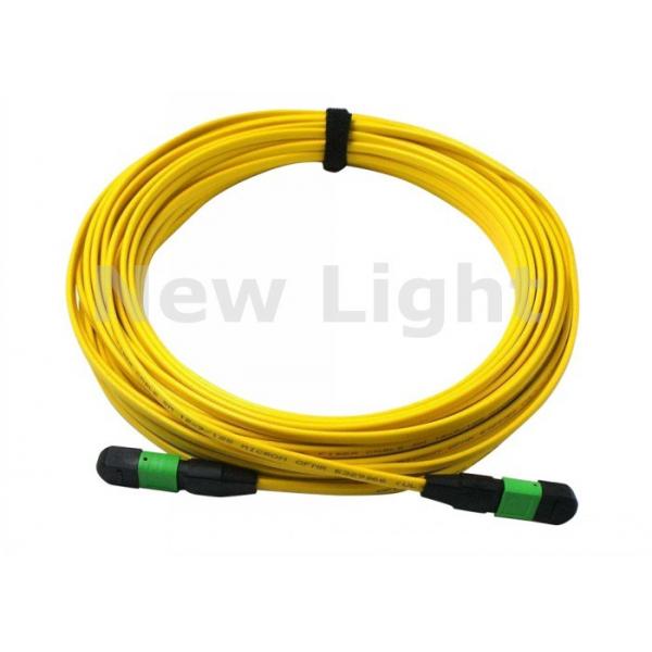 Quality Yellow MPO MTP Cable APC < 0.3dB 3 Meters 12 Core / 24 Core MPO TO MPO Cable for sale