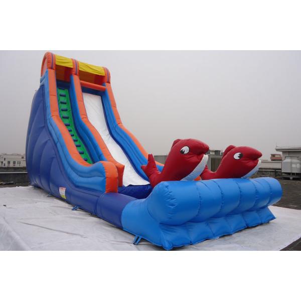 Quality Single Lane Fish Decorated Blow Up Water Slide PVC Swimming Pool for Sale for sale