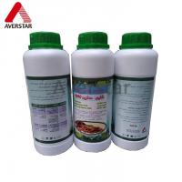 China Carbendazim 500g/l SC 98% TC 25% WP Fungicide for Crop Disease Prevention and Control factory