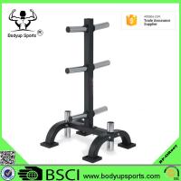 China Powder Coated Surface Gym Weight Tree , Gym Equipment Rack For Weight Plate factory