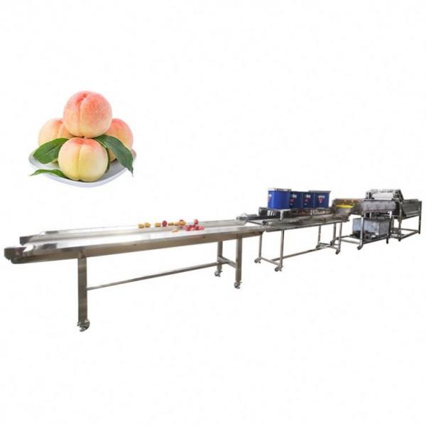 Quality Hot selling Uv Ozone Fruit Vegetable Cleaner And Washer On Sale by Huafood for sale