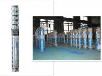 China Corrison Resistant Vertical Submersible Centrifugal Pumps Cast Iron Material factory
