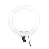 China 18 inches 3200-5600K Dimmable LED Ring Light Kit for Portrait Makeup Video Shooting factory