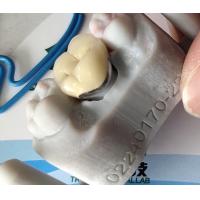 China Dental Lab Product CAD CAM PFM Crown porcelain fused to metal factory