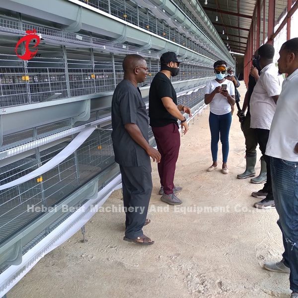 Quality A H Type Automatic Laying Chicken Poultry Farming  Cage System In Africa Market Iris for sale