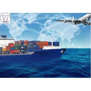 Quality DDP Global International Sea Freight Shipping Delivery Service for sale