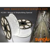 china AC 36V Waterproof LED Rope Lights For Mining / Shipbuilding Light System