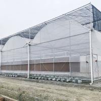 Quality Hydroponic Growing Systems Greenhouse Low Cost Greenhouse Agriculture Plastic Greenhouse for sale