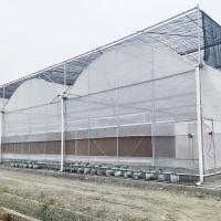 Quality Hydroponic Growing Systems Greenhouse Low Cost Greenhouse Agriculture Plastic for sale