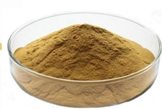 China 14216-03-6 Ivy Leaves Dry Extract Powder with Hederacosides Ingredient factory