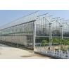 China Medical Planting Agricultural Greenhouse Customized Size With Blackout Curtain factory