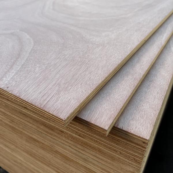 Quality Moistureproof Hardwood Veneer Plywood Sturdy Thickness 3mm-25mm for sale