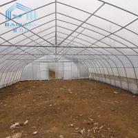 China Single-span PE Covered Tunnel Plastic Greenhouse For Strawberry Grape Raspberry factory