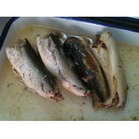 China EU Certified Mackerel Canned Fish In Brine High Heart Healthy Omega - 3 Fatty Acids factory