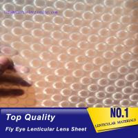 China PLASTIC LENTICULAR best selling 3d fly printing film 360 fly eye sheet fly eye lenticular film factory