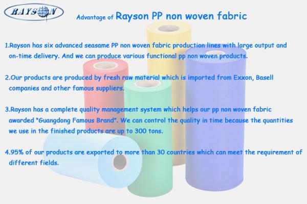 China Foshan Rayson Non Woven Co.,Ltd manufacturer