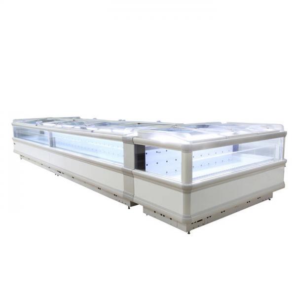 Quality 440L Supermarket Refrigeration Equipments For Frozen Food for sale