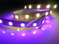 China ws2812b ws2813 dream color led tape factory