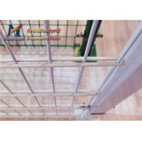 China White Metal Wire Mesh Fence 100mm 50mm 868 Twin Wire Mesh Fencing for sale