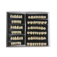 Quality Whitening Composite Resin Teeth For Denture Kit Super Hard 2 Layers for sale