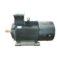 Quality 220v Alternative Energy Permanent Magnet Alternator For Hydropower for sale