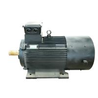 China 220v Alternative Energy Permanent Magnet Alternator For Hydropower factory