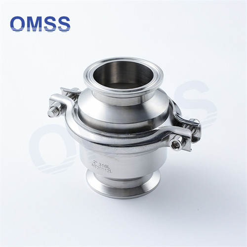 Quality Ss304 Non Return Check Valve Stainless Steel Hydraulic Non Return Valve for sale