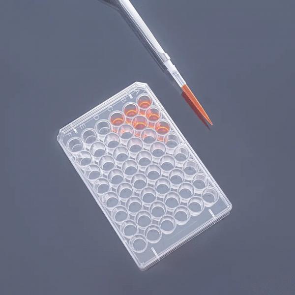 Quality Cell Culture Plates With Treated Culture Surface And Plates 6 12 24 48 And 96 for sale