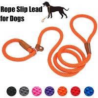 China Slip Braided Rope Heavy Duty Dog Leash No Pull Training Lead Nylon Material factory