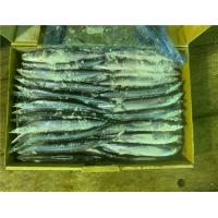 China #3 90g 100g Individual Quick Frozen Pacific Saury factory