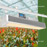 Quality Muizlux IP65 400 Watt Led Grow Light Horticulture Indoor Led Grow Lights for sale