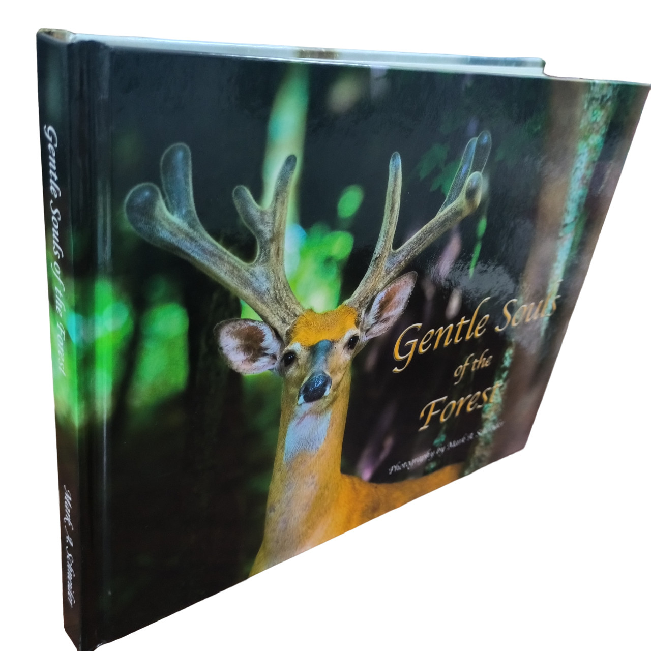 China Gentle Souls Of The Forest Hardcover Coffee Table Book factory