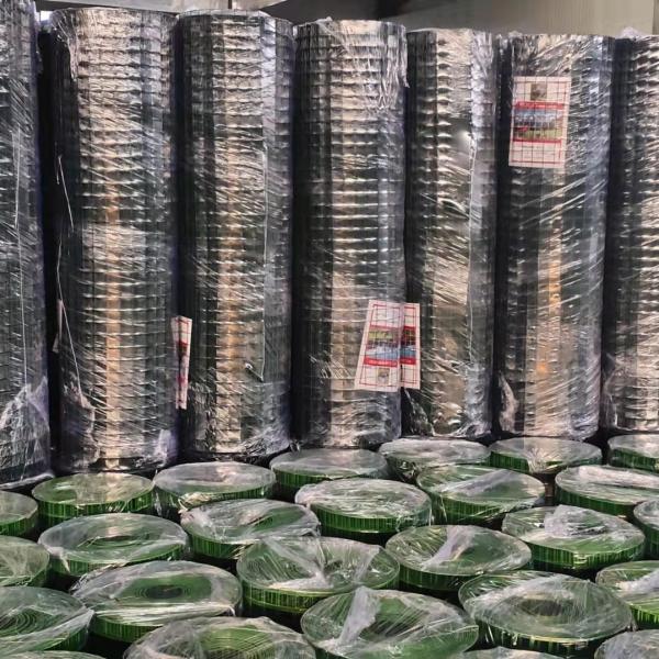 Quality Ole Electro Hot Dipped Galvanized Welded Wire Mesh 16 Gauge for sale