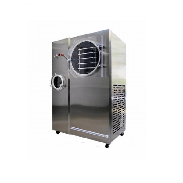 Quality Mini Freeze Drying Machine for sale