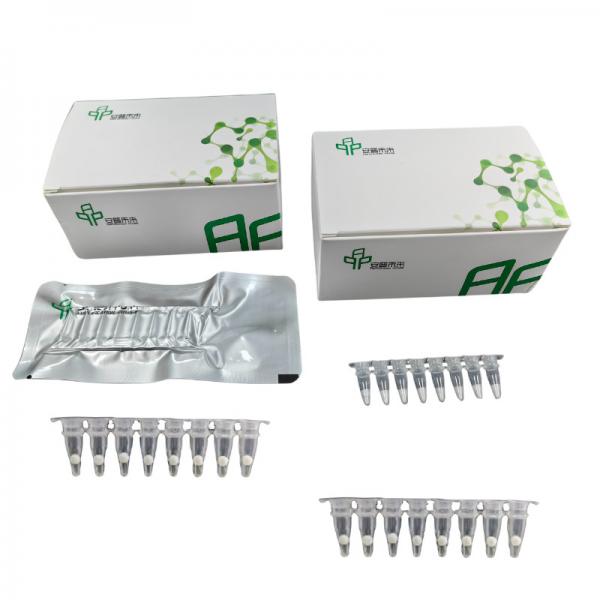 Quality RNA Basic Isothermal PCR Kit With High Accuracy And Efficiency for sale