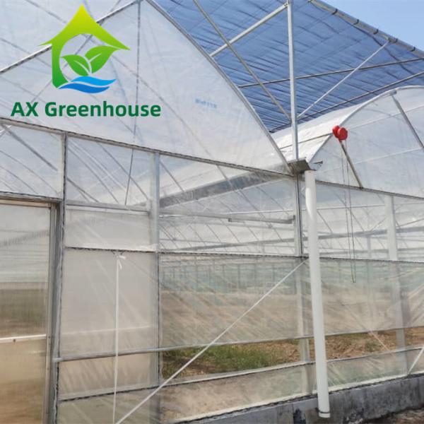 Quality Strawberries Plastic Film Greenhouse for sale