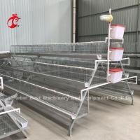 Quality Cold Galvanized Poultry Battery Cage System 40 doors Egg Laying Chicken Cage Adela for sale