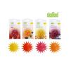 China Scented Starfish Hanging Car Freshener Perfume with Stick in Car Home Windows factory