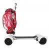 China 10 Inch Four Wheels Powerful Electric Scooter Electric Golf Scooter 1000w Dual Motor factory