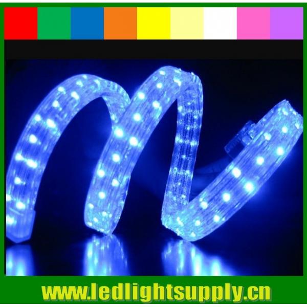 Quality 100 meters PVC led rope light 4 wires DIP 5mm led flex rope for club for sale