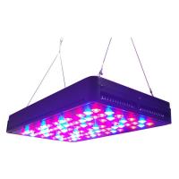 China Plants science project used full spectrum CIDLY led grow lights 5W chip led for plants factory